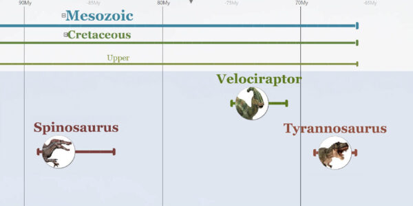 Dinosaur Timeline