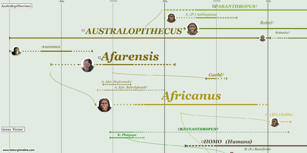 human evolutionary timeline