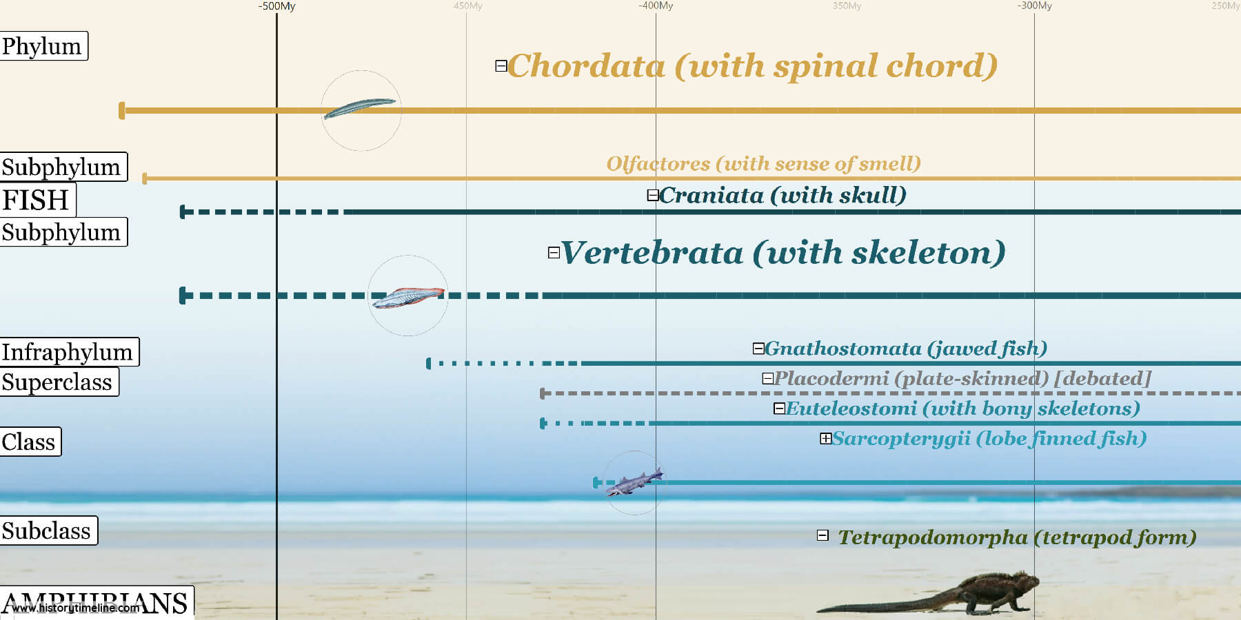 what is the timeline of the origin of life on earth