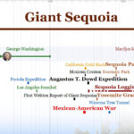 3Detail_General_Sherman_Sequoia