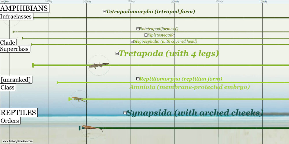 Dinosaur Timeline