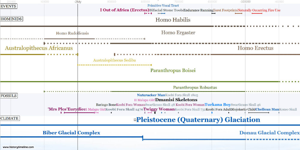 Prehistoric timeline with human evolution