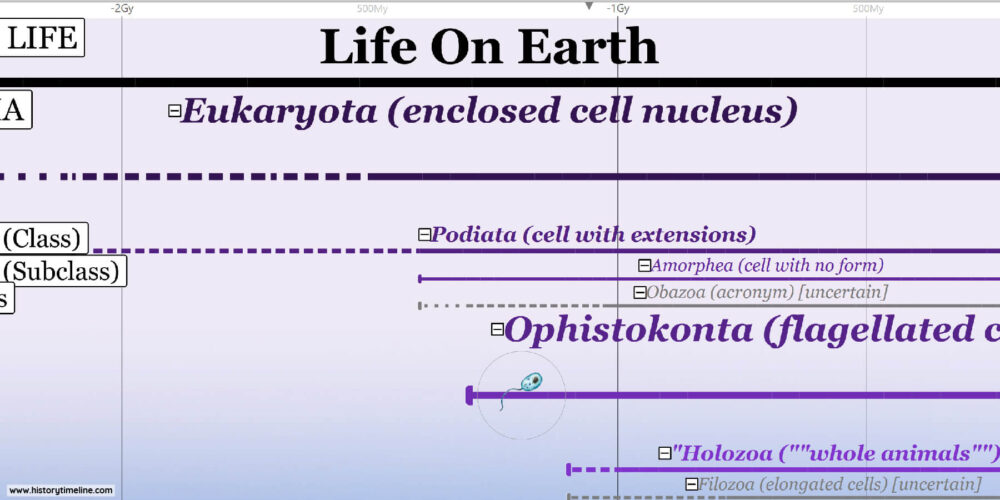 Timeline Life on Earth